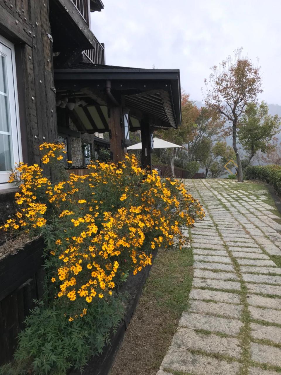 Black Forest Manor ريناي المظهر الخارجي الصورة